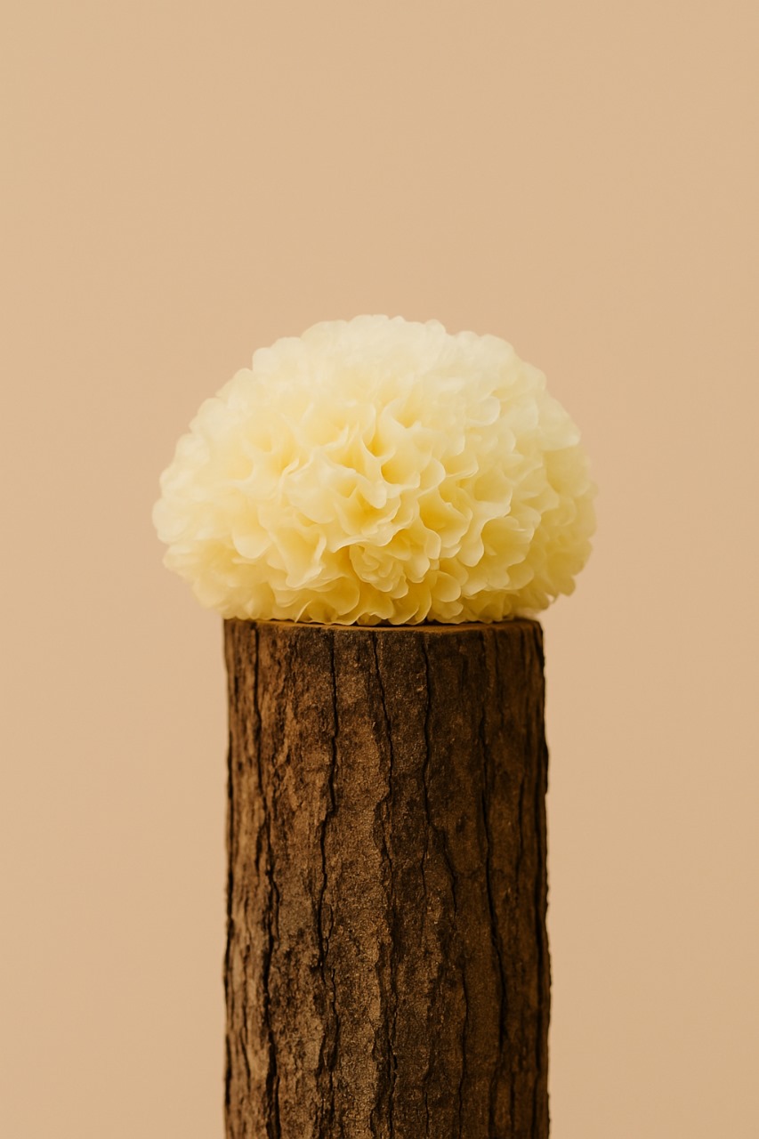 Tremella thumbnail 2